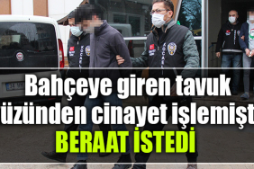 kocaeli cinayet tavuk