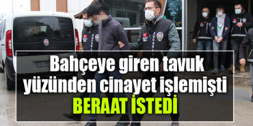 kocaeli cinayet tavuk