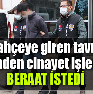 kocaeli cinayet tavuk