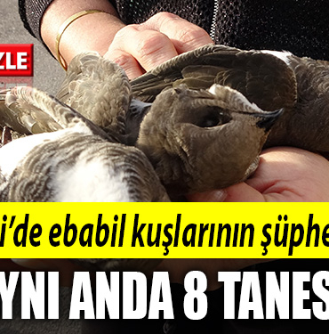 kocaeli ebabil