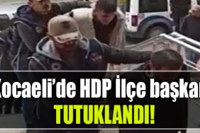 kocaeli hdp