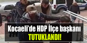kocaeli hdp