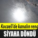 kocaeli kanal siyah