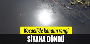 kocaeli kanal siyah