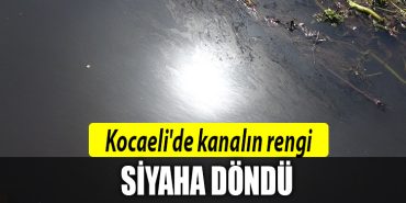 kocaeli kanal siyah