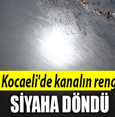 kocaeli kanal siyah