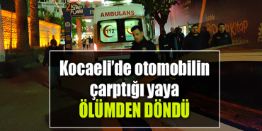 kocaeli kaza yaya