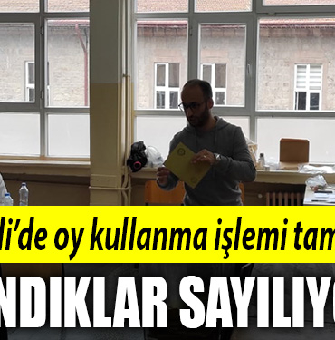 kocaeli sandık