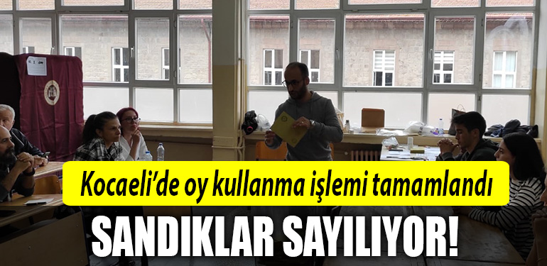 kocaeli sandık
