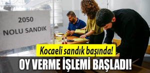 kocaeli sandık