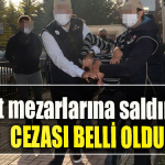 kocaeli şehit mezarı