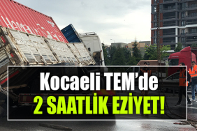 kocaeli tem