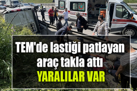 kocaeli tem araç kaza
