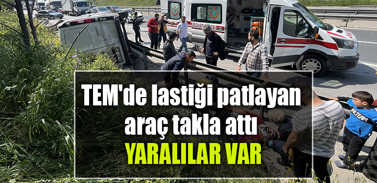 kocaeli tem araç kaza
