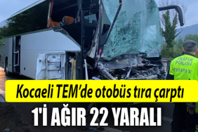 kocaeli tem kaza yaralı