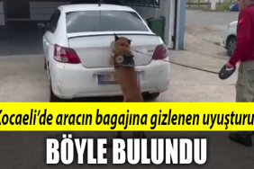 kocaeli uyuşturucu