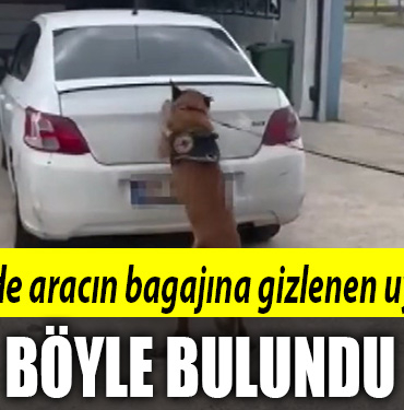 kocaeli uyuşturucu