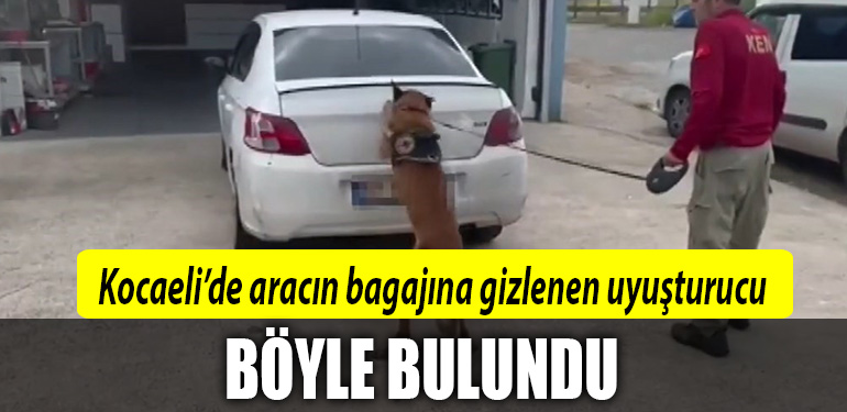 kocaeli uyuşturucu