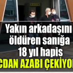 kocaeli yakın arkdaş cinayet