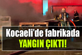 kocaeli yangın