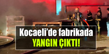 kocaeli yangın