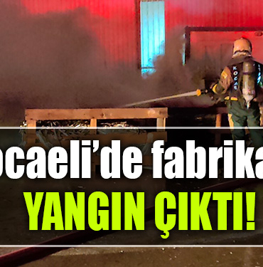 kocaeli yangın