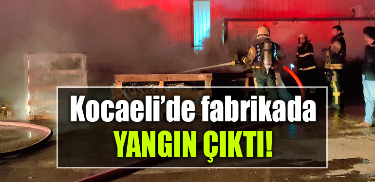 kocaeli yangın