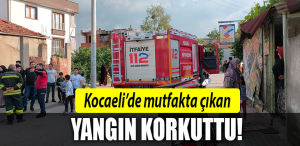 kocaeli yangın