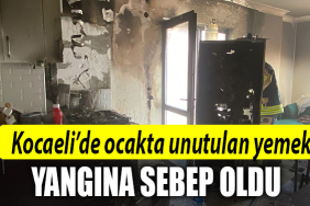 kocaeli yangın