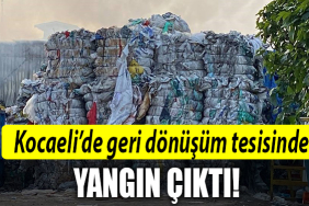 kocaeşi yangın