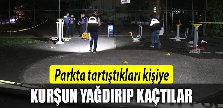 sakarya park