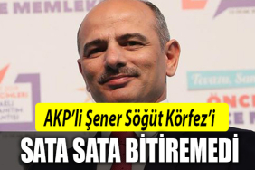 şener söğüt körfez