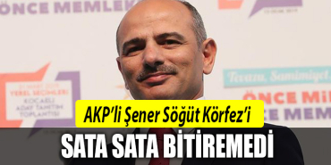 şener söğüt körfez