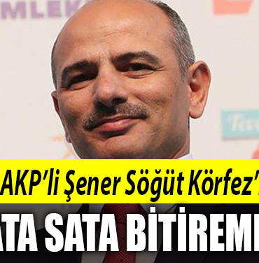 şener söğüt körfez