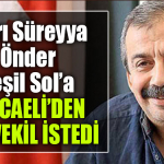 sırrı süreyya önder kocaeli