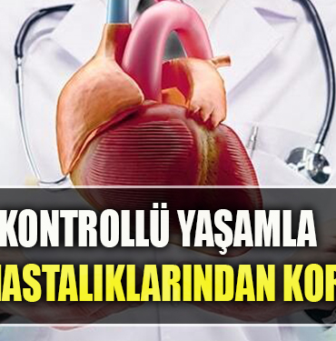 yasam
