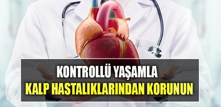 yasam