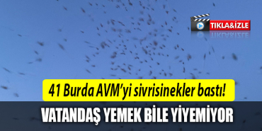 41burda avm