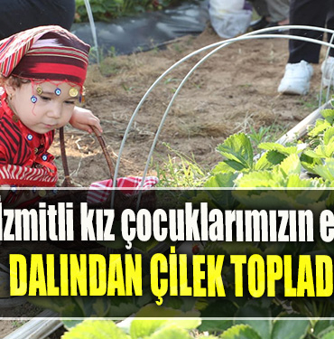 Binlerce İzmitli kız çocuklarımızın eğitimi için dalından çilek topladı