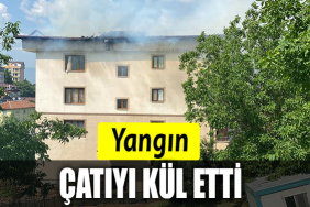 ÇATI