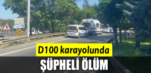 D100