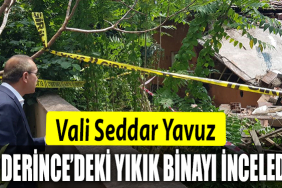 DERİNCE