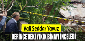 DERİNCE