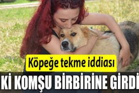 İKİİİ