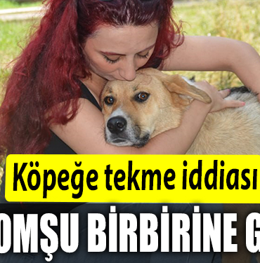 İKİİİ