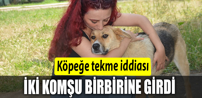 İKİİİ