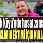 İzmit Belediyesinin Çilek Köyü’nde hasat zamanı! Tüm gelir kız çocuklarının eğitimi için kullanılacak