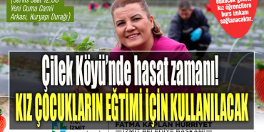 İzmit Belediyesinin Çilek Köyü’nde hasat zamanı! Tüm gelir kız çocuklarının eğitimi için kullanılacak