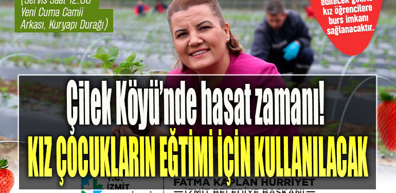 İzmit Belediyesinin Çilek Köyü’nde hasat zamanı! Tüm gelir kız çocuklarının eğitimi için kullanılacak