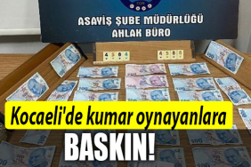 KOCAELİ KUMAR BASKIN